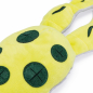 Preview: Beeztees Hide And Seek Frosch